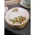 Royal Vale Side/Tea Plates X 11