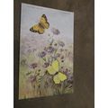 1920 fr Photochrom Postcard - Clouded Yellow & ...