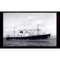 GB0174 - Bank Line Cargo Ship - Cedarbank - bui...