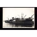 GB0178 - Bank Line Cargo Ship - Comeric at Cape...