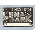 New York Coney Island Amusement Park Postcard L...