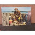 THE OLD SALT, MAINE, USA used postcard 1990 pm =