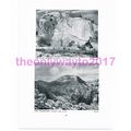 Road by Quarry & Wilderness by Sydney Lee, Book...