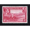 Montserrat KGVI 1938-48 1d Carmine Cotton P13 S...