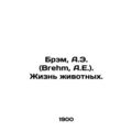 Bram, A.E. (Brehm, A.E.). Animal life. In Russi...