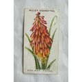 1913 Wills Old English Garden Flowers 2nd serie...
