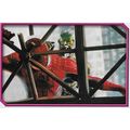 Merlin's Spider-Man (2002) Sticker Collection -...
