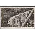 Olinda Falls, Melbourne, Victoria, c.1930 - Ros...