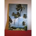 PALM TREES AND BEACH, EAST AFRICA used vintage ...