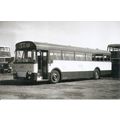 Black & White Photograph of Maidstone & Distric...