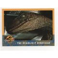 1993 Jurassic Park Universal City Studios Colle...