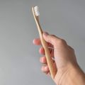 Bamboo Toothbrush (Duo)[ ]