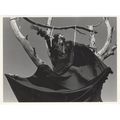 Modern Crucifixion Jean Baptiste Carhaix San Fr...