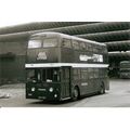Black & White Photograph of Ribble Motor Servic...