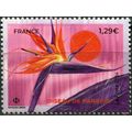 France. 2024. Bird of Paradise (Strelitzia) (MN...