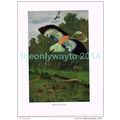 BLUE ROLLER, BOOK ILLUSTRATION (PRINT), LYDEKKE...