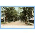 CT Danbury Main St Looking North Tree Lined Unp...