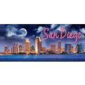 San Diego California 3D Fridge Magnet