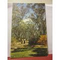 RANGER, BOTANIC GARDENS, CANBERRA, AUSTRALIA un...