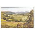 Rheidol Valley Cardiganshire Brian Gerald Art P...