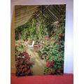 THE CONSERVATORY, WALLINGTON HALL, used postcar...