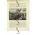 View In Abyssinia (Ethiopia), Book Illustration...