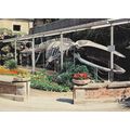 14 - Luc-sur-Mer - SQUELETTE DE LA BALEINE