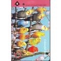 Colourful Birds S'pore Transitlink Train/Bus Card