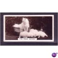 De Reszke Real Photographs card No. 10 The Prou...