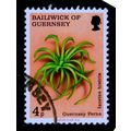 GUERNSEY 1975 SG 123 4p GUERNSEY FERNS SAND QUI...