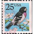 USA, BIRDS, Rose-breasted Grosbeak, blue 1988, 25c