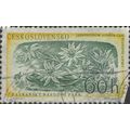 CZECHOSLOVAKIA, FLOWER, Edelweis, Leontopodium,...