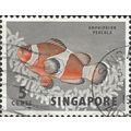 SINGAPORE, FISH, Percula Clownfish, Amphiprion ...