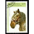 Laos 1996 Horse 80K Used Stamp tl