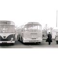 Black & White Photograph of Yelloway Motor Serv...