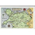 Wales NORTH WALES Map Postcard by Salmon (4587)