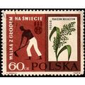 Poland 1963 Fight against Hunger 60gr Used Stam...