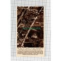 C994) Cotton Valley Louisiana Tornado Damage - ...