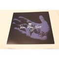 Seven Mary Seven Promo Flat-ROCK CROWN