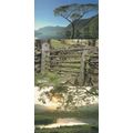 Crummock Water Maple Tree Elterwater Gate 3x Aw...