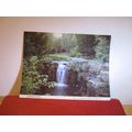JESMOND DENE, NEWCASTLE unused postcard Whitley...