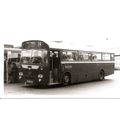 Black & White Photograph of Maidstone & Distric...