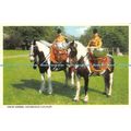 D028403 Drum Horses. Household Cavalry. London....