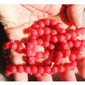 Coral Glass Beads 8mm 100 Beads Crafting Sewing