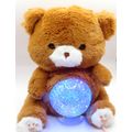 Brown Teddy RGB Colour Changing LED Glitter Lig...