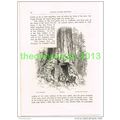WAWONA TREE, YOSEMITE, CALIFORNIA, USA, BOOK IL...