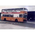 Colour Photograph of Northern General Transport...