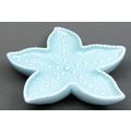 Ceramic Starfish