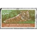 INDIA, Tiger, Panthera tigris, brown & green 20...