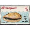 Antigua 1972 Shells 5c measled cowrie Unmounted...